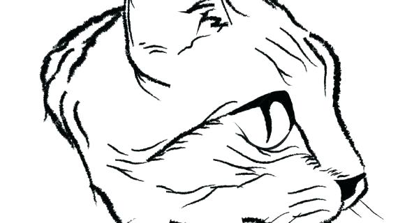 570x320 Draw Simple Cat Face