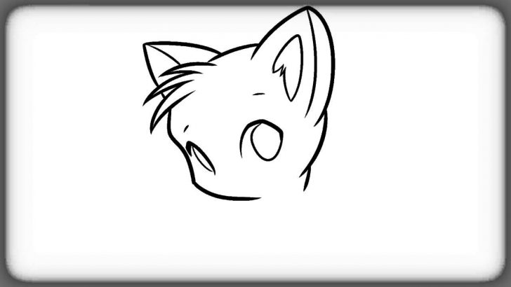 728x410 Simple Cat Face Drawing Realistic A On Person Picture Color