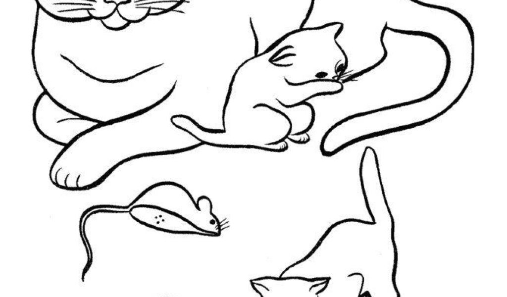 1024x600 Drawing Dogs And Cats Halloween Cat Coloring Pages Beautiful Cats