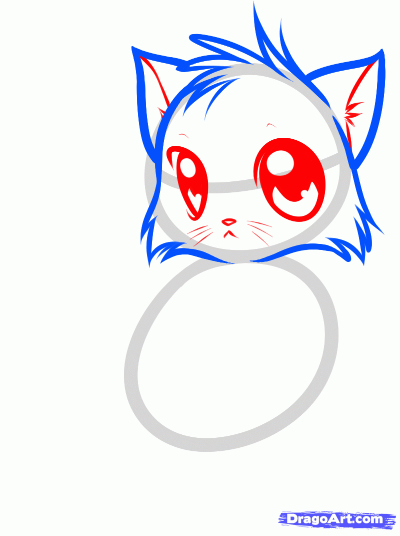 800x1070 How To Draw A Cute Anime Cat, Step