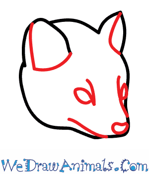 300x350 How To Draw A Pine Marten