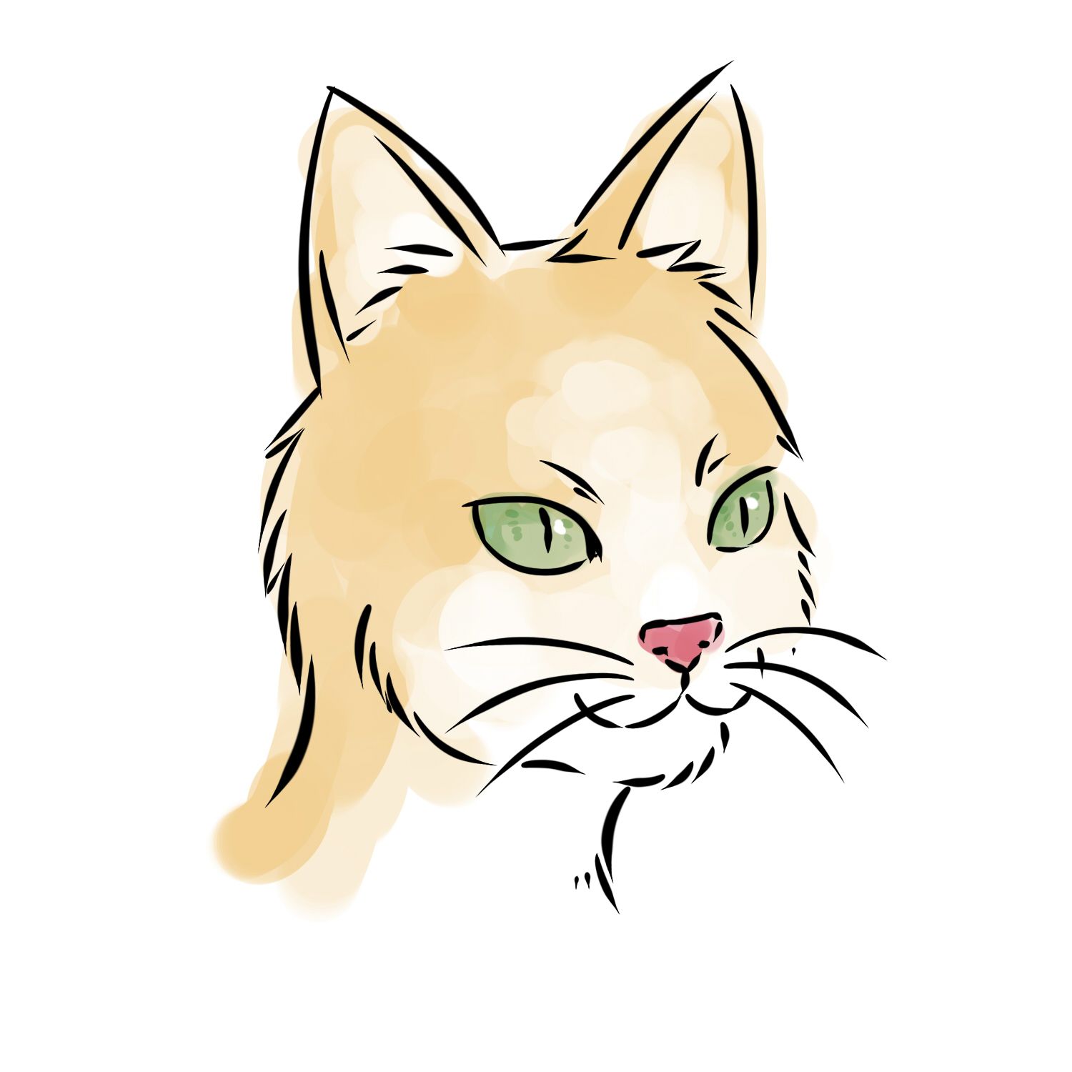 Cat Head Drawing Tutorial | Free download on ClipArtMag