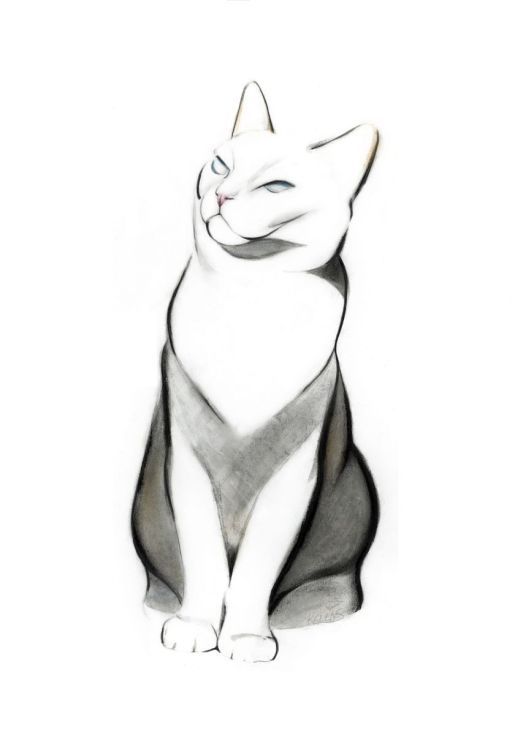515x735 Proud Cat Minimal Art Cat Art Print, Cats, Art