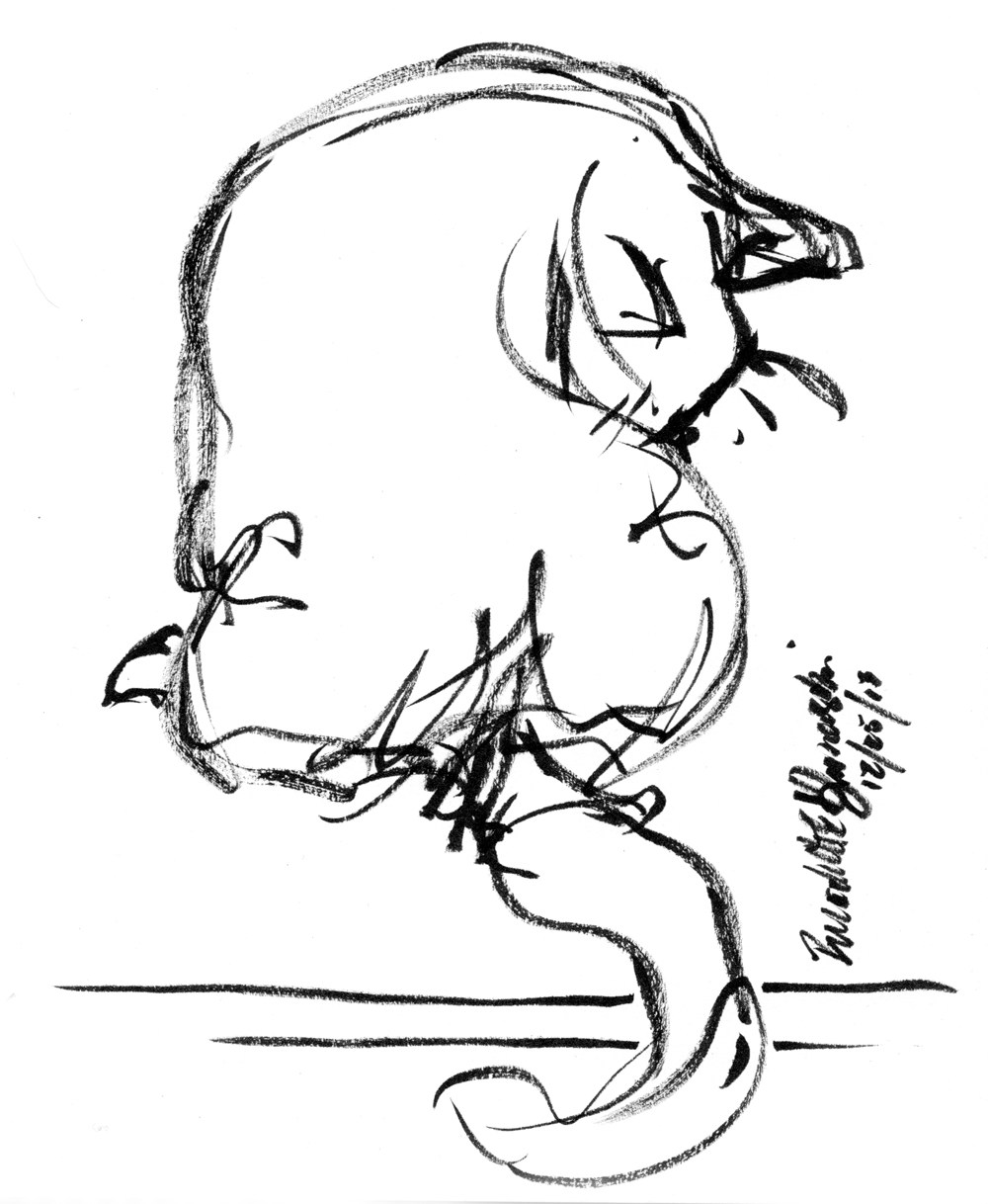 1000x1218 Ink Brush Pen Sketch Of Cat Bathing Archives The Creative Cat