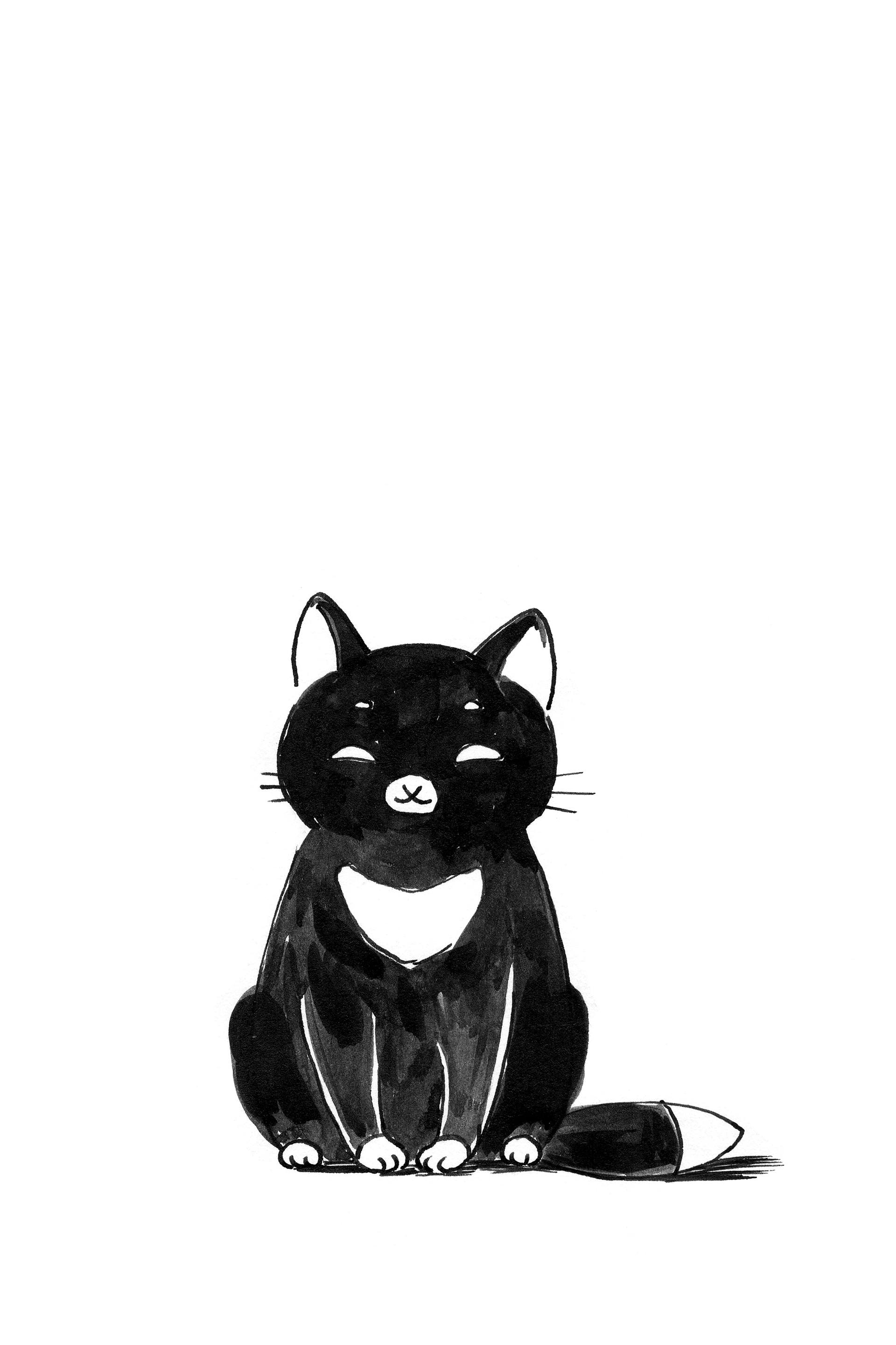 1920x2880 Black Cat Drawing