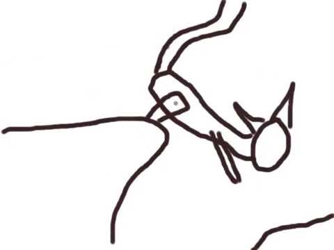 480x360 Cat Jumping Animation