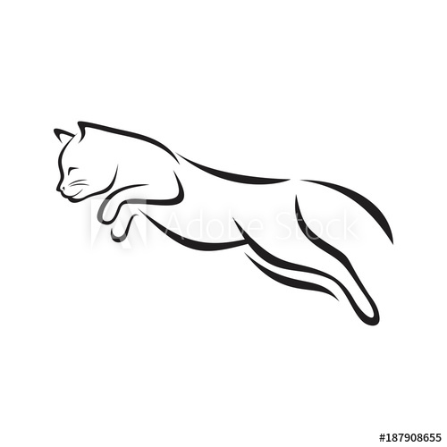 500x500 Cat Jumping