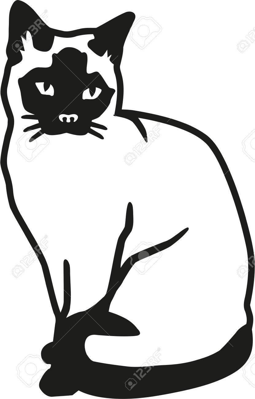 831x1300 Siamese Cat Clipart Drawing
