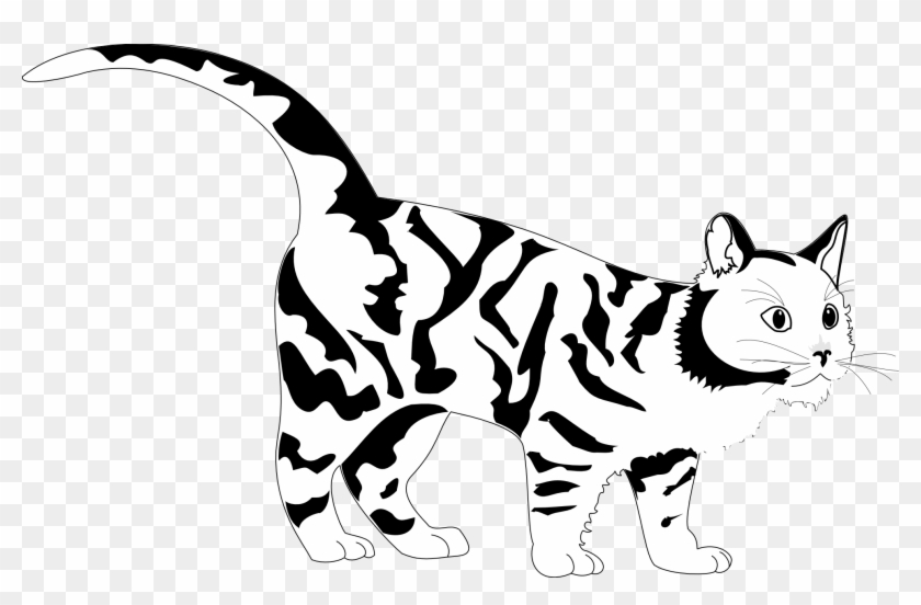 840x552 Tiger Cat Black White Line Art Coloring Sheet Colouring