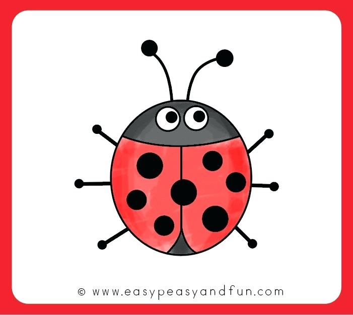 701x626 how to draw ladybug color your ladybug drawing how to draw ladybug