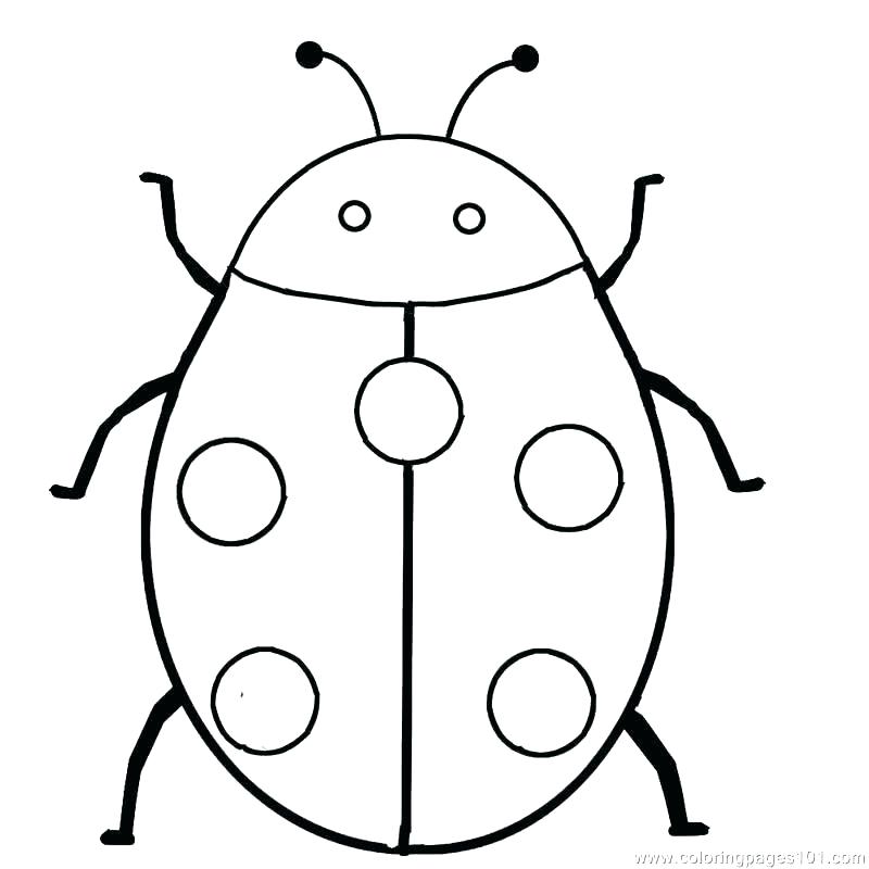 800x800 ladybug coloring pictures ladybug coloring pages ladybug and cat