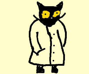 300x250 cat noir