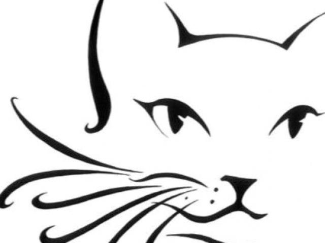 640x480 line drawing of a cat face cat outline cheek arm design ae ae