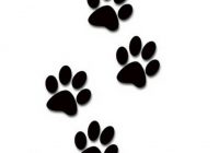 200x140 Cat Paw Print Drawing Stage Wallpaper