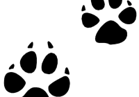 200x140 Best Cat Paw Drawing On Clipartmag Of Black And White Print Detail