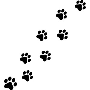 300x300 cat paw print images desktop backgrounds