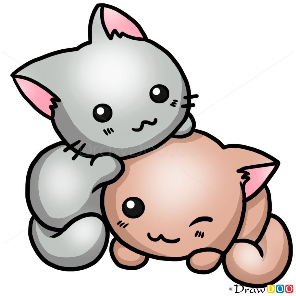 1024x1024 Cute Kitty Drawing Pinchristy Roseveare On Aaronscats