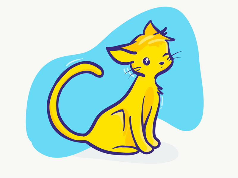 800x600 Yellow Cat