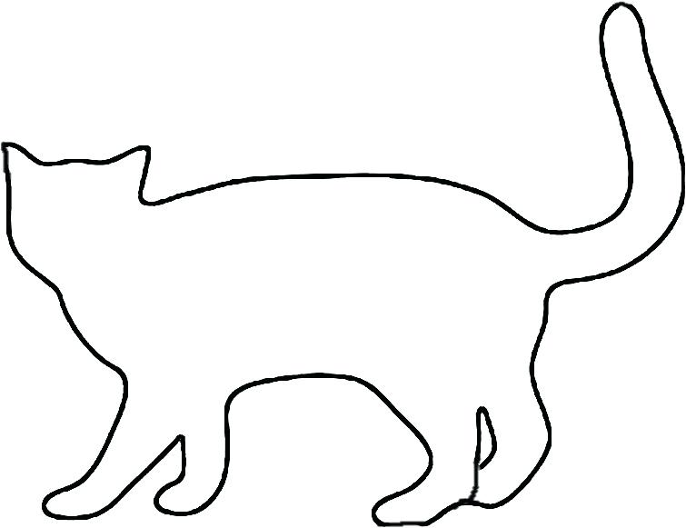 755x581 Cat Drawing Outline