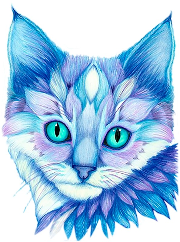 594x800 Beautiful Color Pencil Cat Face Drawing