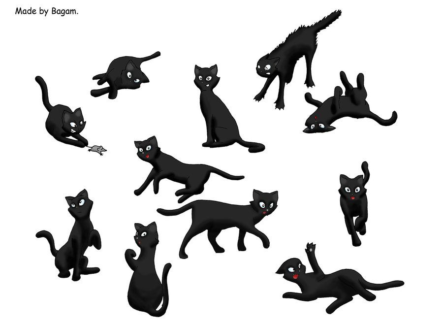 900x660 More Artists Like Tiger Poses Study