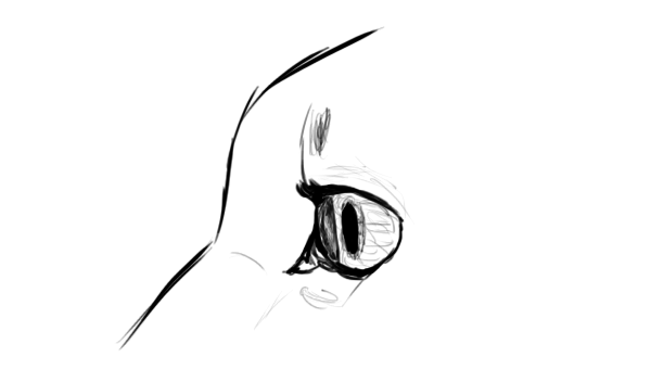 600x352 How To Draw Animals Cats And Their Anatomy