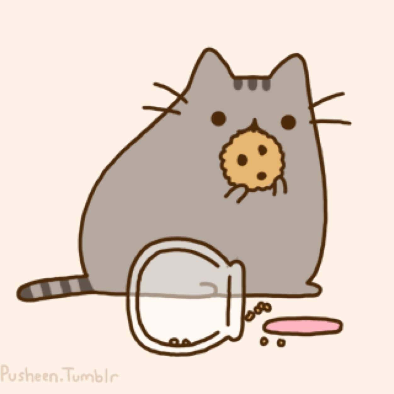 1252x1252 Images Of Cats For Sketching More Than Pictures! Download