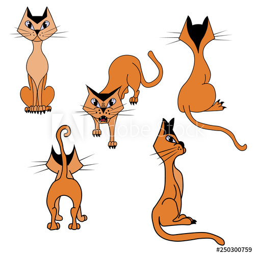 500x500 Vector Set Of Cartoon Imagesof A Foxy Cat In Different Poses