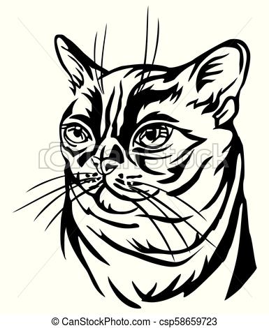 385x470 decorative portrait of burmese cat vector illustration decorative