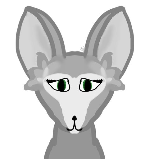 512x512 New Profile Pic! Cats Amino