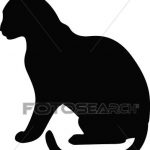 150x150 Cat Profile Drawing How To Draw Animals Cats And Their Anatomy