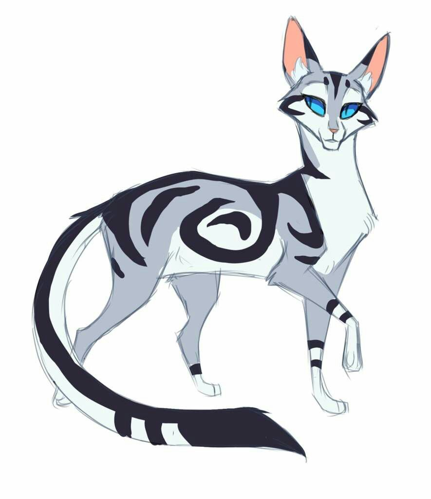 885x1024 Silverstream