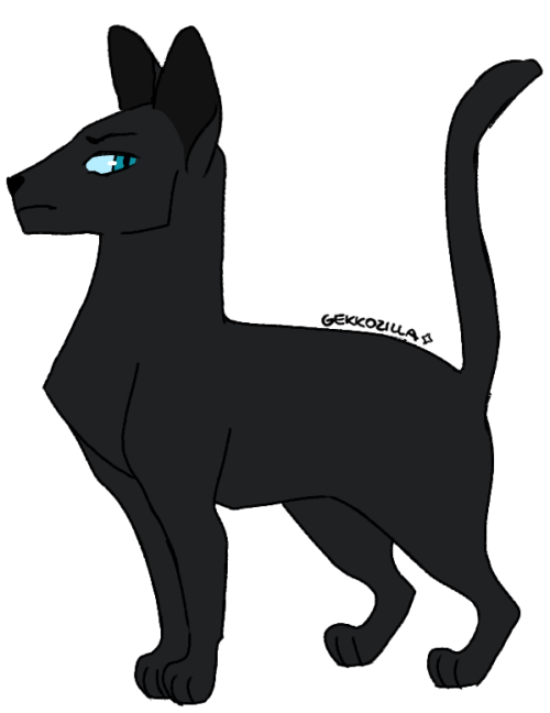 500x648 Warrior Cats, Cat