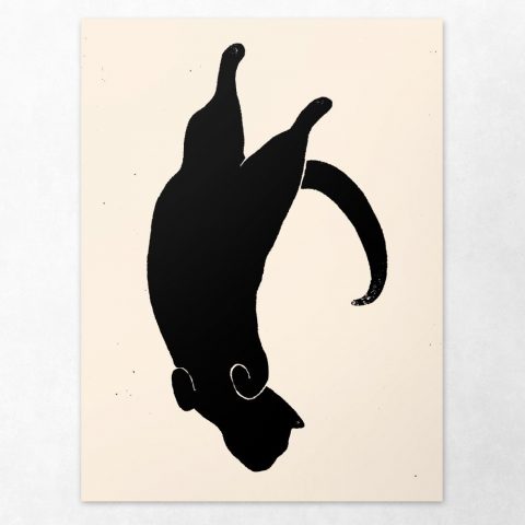 480x480 Swissmiss Cat Drawings