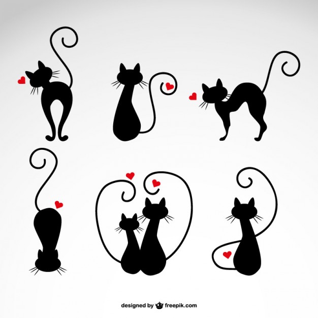 626x626 Cat Vectors, Photos And Free Download