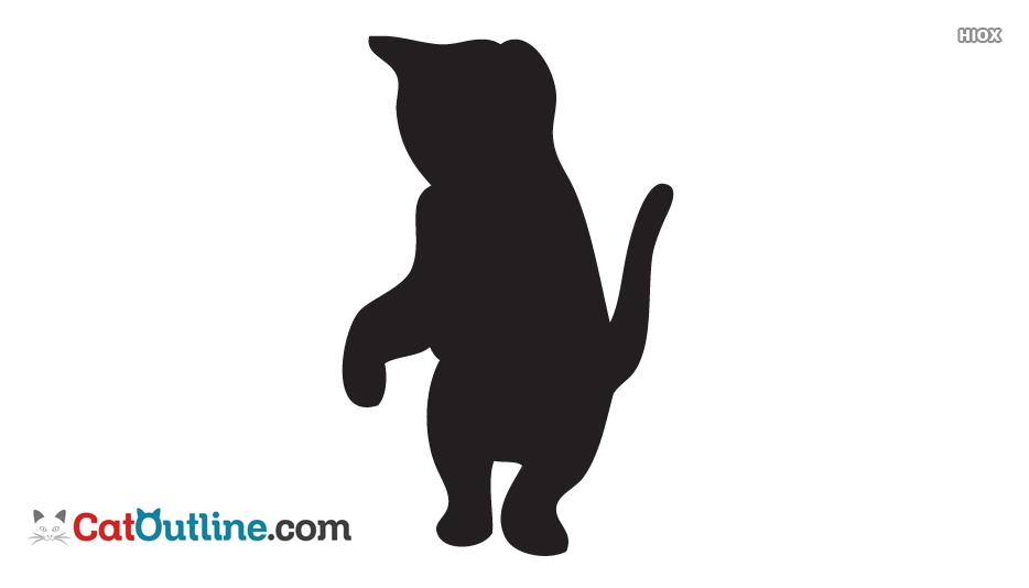 934x534 Kitten Outline Drawings