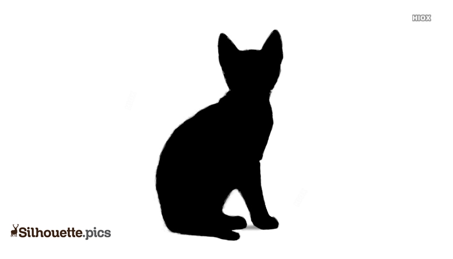 934x534 Bengal Kittens Silhouette Vector, Clipart Images, Pictures