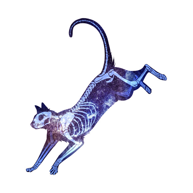630x630 Skeleton Cat