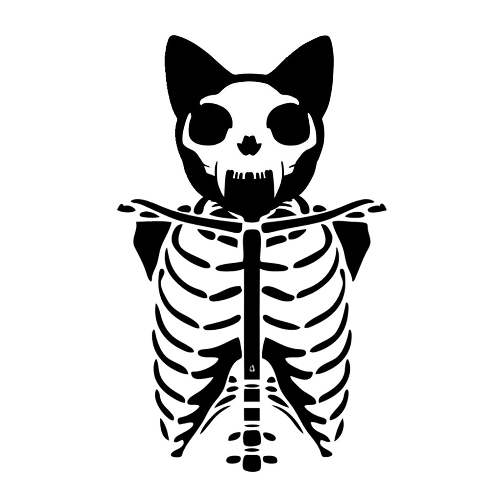 1000x1000 Skeleton Cat