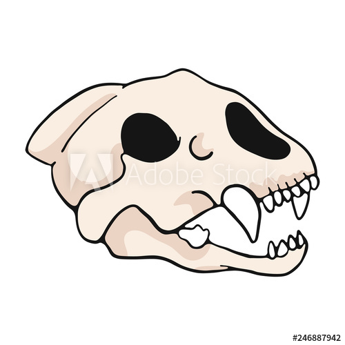 500x500 tiger skull cartoon vector illustration motif set hand drawn