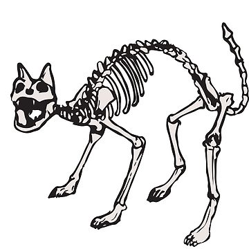 360x360 Cat Skeleton Classic Mug