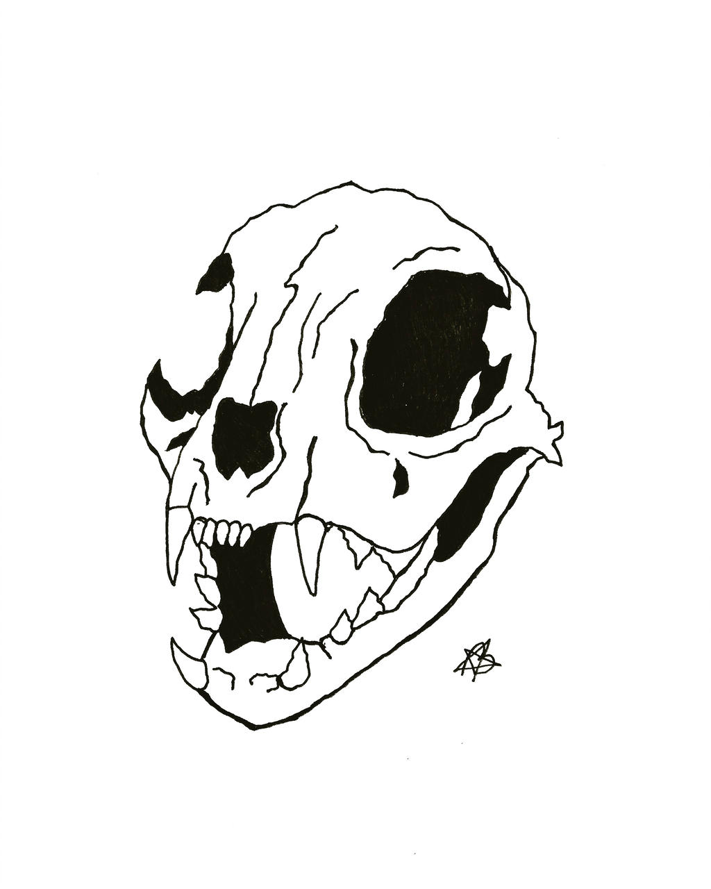 Cat Skull Drawing | Free download on ClipArtMag