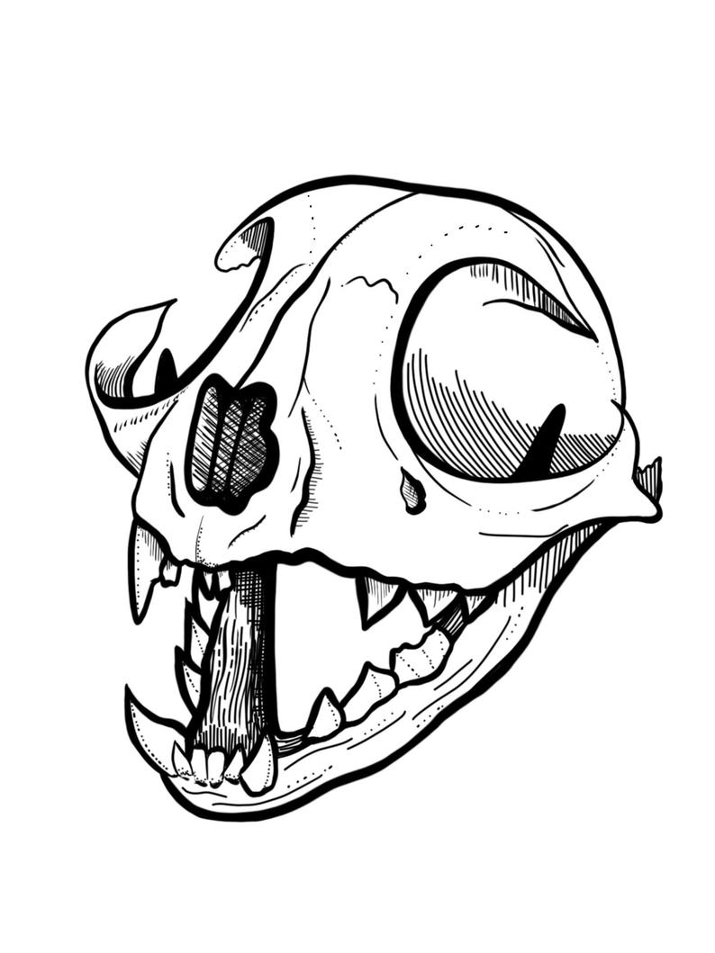 Cat Skull Drawing | Free download on ClipArtMag