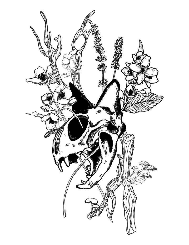 794x1028 Skull Cat Print Black White Etsy