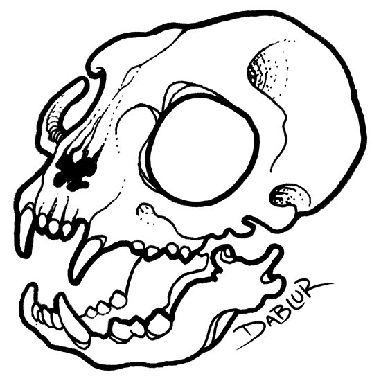 550x550 Small Cat Skull Tattoo Flash Posters