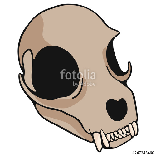 500x500 Cat Skull Cartoon Vector Illustration Motif Set Hand Drawn