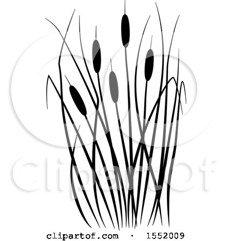 450x470 Clipart Of A Black And White Cat Tails