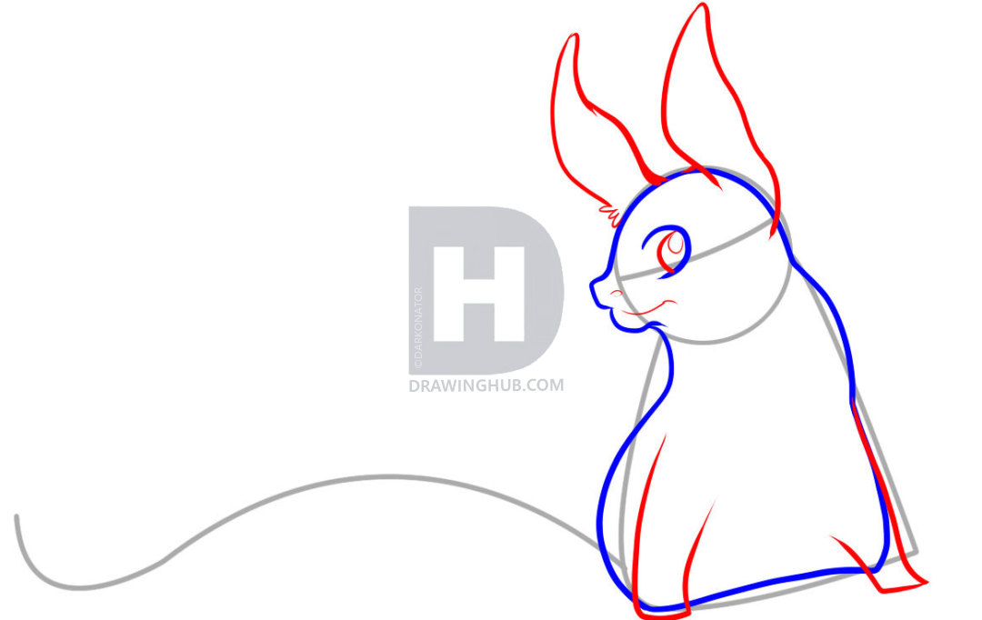 1080x682 How To Draw A Tail, Step