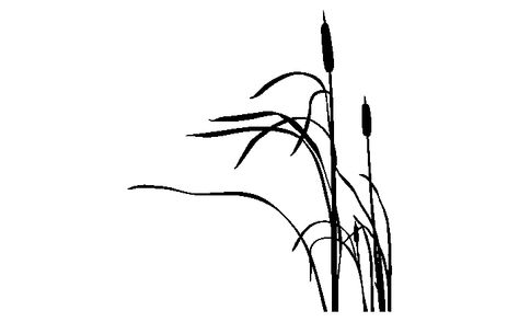 474x294 Cattail Silhouette Tatoo Ideas Body Art Tattoos, Dragonfly