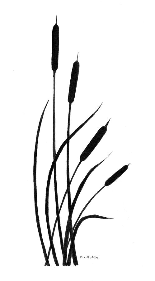 498x900 Bull Rushes Drawing